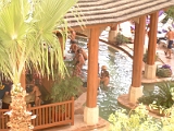 Hard Rock Pool